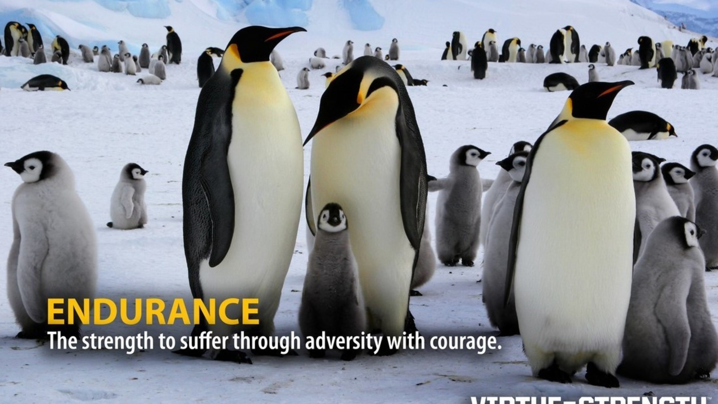 Endurance